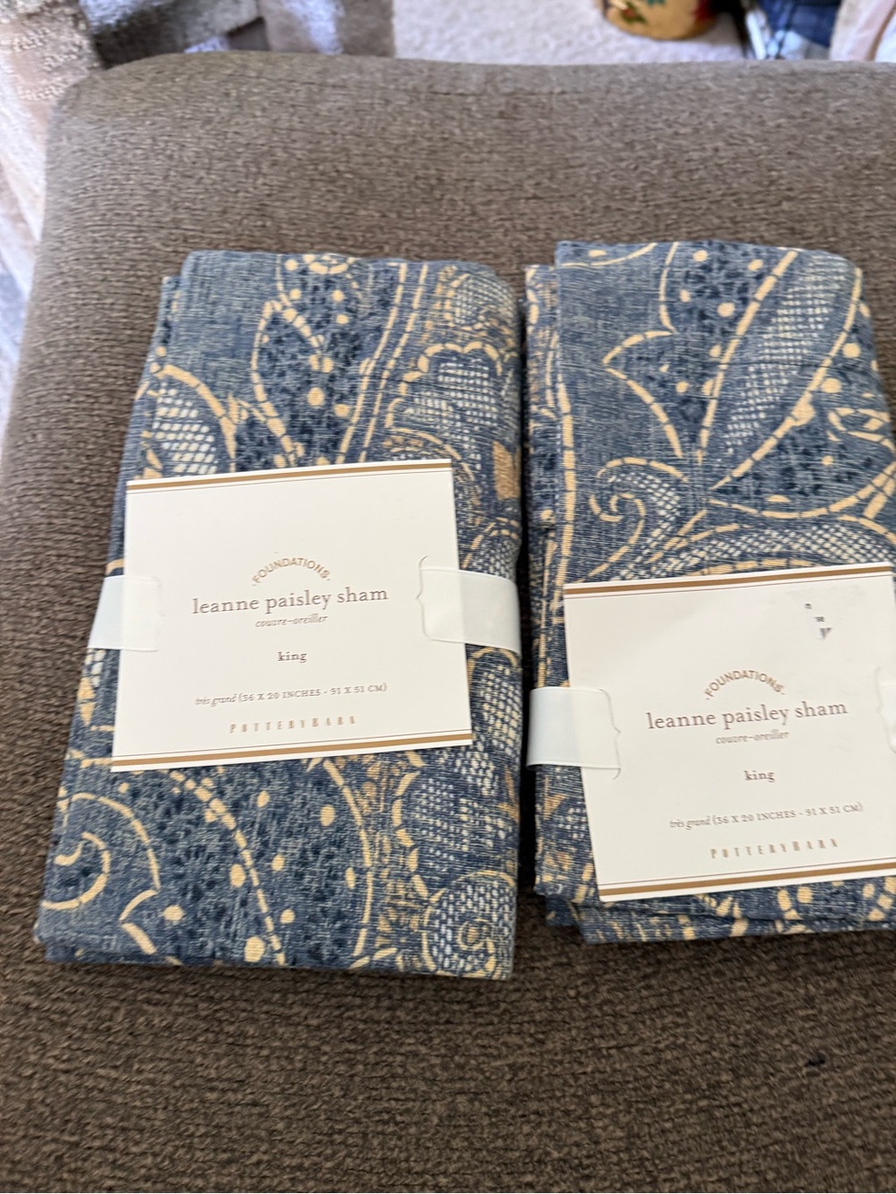 Leanne Paisley King Pillow Shams - Blue and Cream set of 2